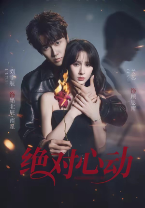 绝对心动（66集）热播短剧持续更新