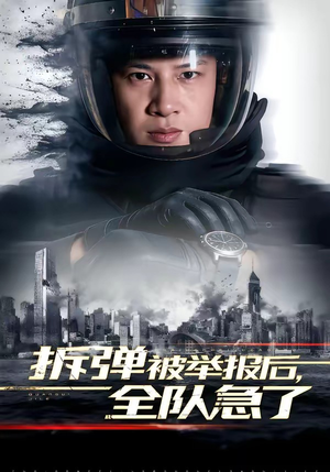 拆弹被举报后，全队急了（50集）热播短剧持续更新