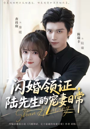 闪婚领证，陆先生的宠妻日常（86集）短剧全集秒播无卡顿