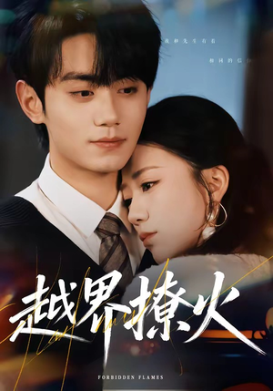 越界撩火（64集）短剧合集通宵追更版