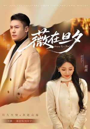 薇在旦夕（80集）短剧全集无删完整版