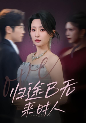 归途已无来时人（70集）短剧完结全集限免刷