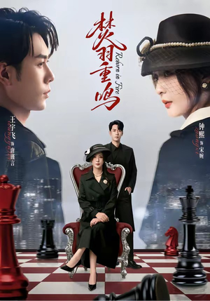 焚羽重鸣（60集）短剧解说推荐好剧