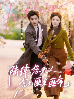 陆律，您夫人怎么匪里匪气（60集）精彩短剧持续更新