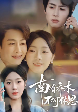 南有乔木，不可休思（68集）百亿短剧好看计划