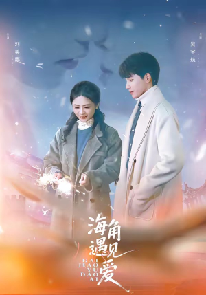 海角遇见爱（40集）热门古装短剧推荐