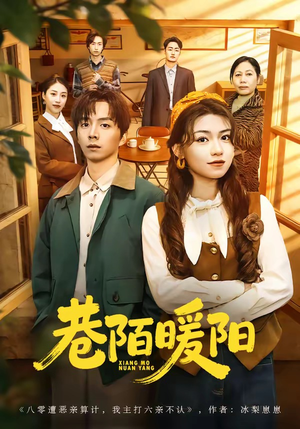 巷陌暖阳（80集）短剧来了精彩继续