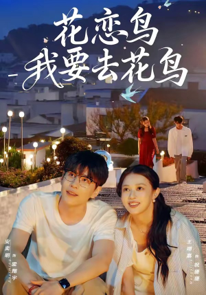 花恋鸟我要去花鸟（60集）短剧全集VR沉浸版