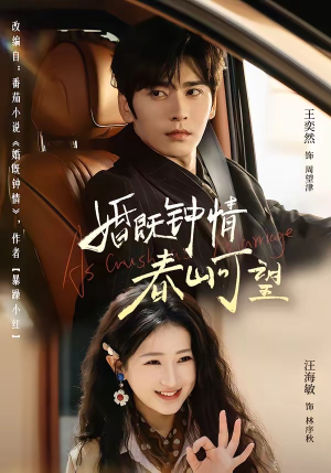 婚既钟情，春山可望（91集）短剧合集4K修复版