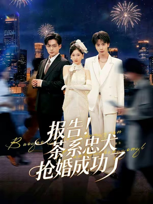 报告！茶系忠犬抢婚成功了（83集）男女都爱看的短剧片段