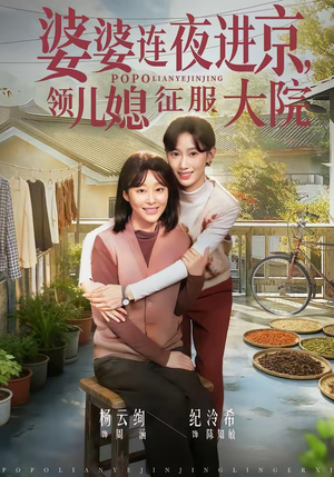 婆婆连夜进京，领儿媳征服大院（78集）短剧完结篇全集连播