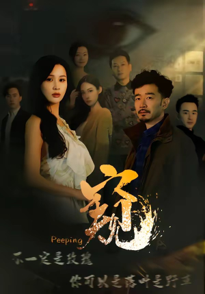 窥＆窥伺（37集）短剧推荐太好看了