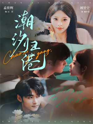 潮汐归港（66集）短剧大结局连更全集