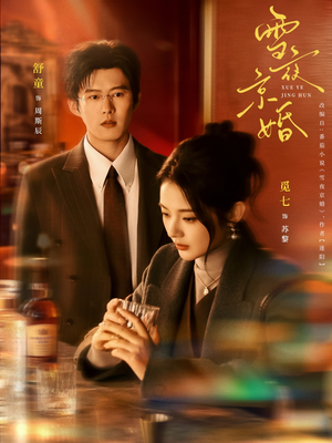 雪夜京婚（84集）短剧大结局全集特惠