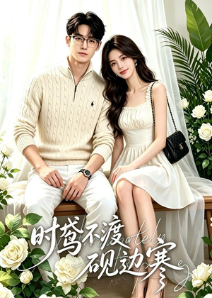 时鸢不渡砚边寒（41集）火热短剧正在热播