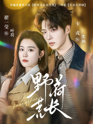 野荷荒长（86集）最新热播短剧推荐