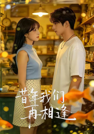 昔年我们再相逢（40集）短剧全剧终在线连看
