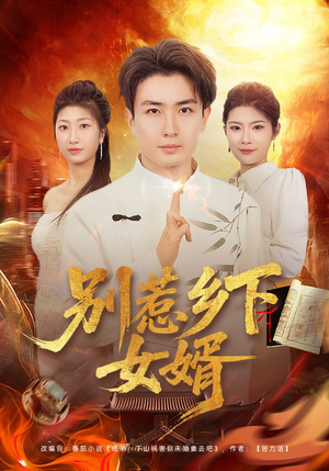 别惹乡下女婿（80集）爆款短剧热门推荐
