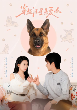 穿越汪星来爱你（62集）超好看的短剧一起追剧