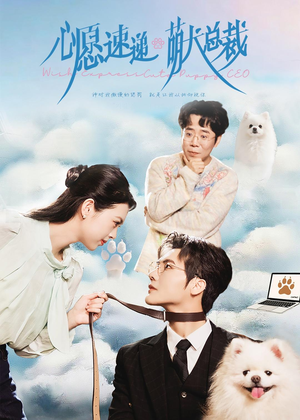心愿速递之萌犬总裁（50集）悟空浏览器免费看短剧