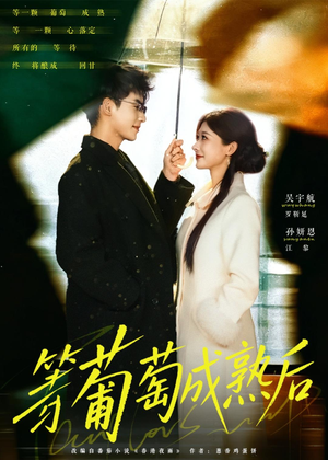 等葡萄成熟后（82集）短剧宝藏全集限免看