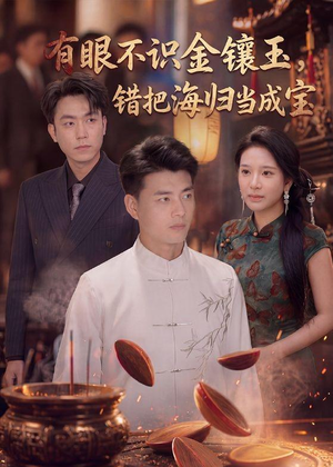 有眼不识金镶玉错把海归当成宝（80集）短剧男演员排行榜