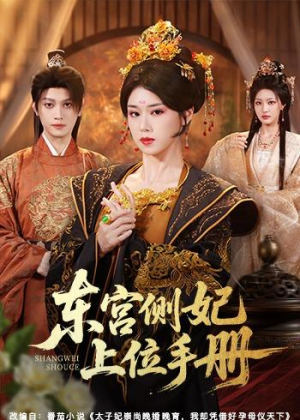 东宫侧妃上位手册（61集）好看又精彩的短剧来了