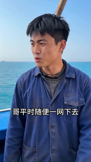 别人赶海靠运气，我靠系统报点发家致富（80集）短剧经典全集任你选