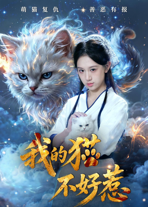 我的猫不好惹（42集）热播短剧持续分享