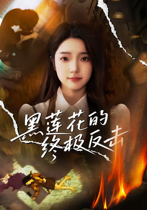 黑莲花的终极反击（60集）短剧全剧终在线连看