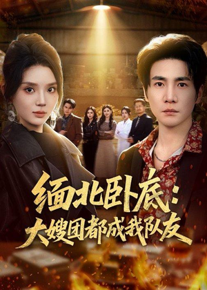 缅北卧底：大嫂团都成我队友（71集）短剧来了精彩继续