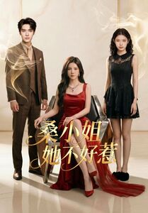 桑小姐她不好惹（103集）短剧最终章免费合集