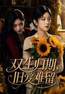 双生归期，旧爱难留（77集）百亿短剧好看计划