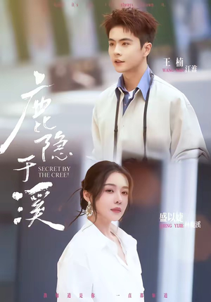 鹿隐于溪（63集）好看又上头的短剧