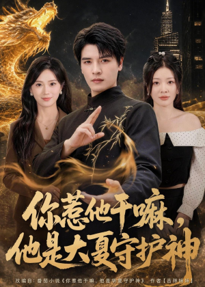 你惹他干嘛，他是大夏守护神（78集）每晚准时更新分享
