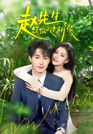 赵先生结婚证过期不候（50集）正能量短剧上热门