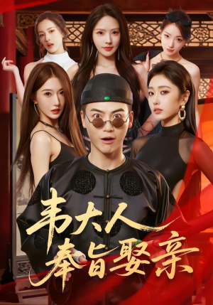 韦大人奉旨娶亲（81集）免费看剧热门短剧