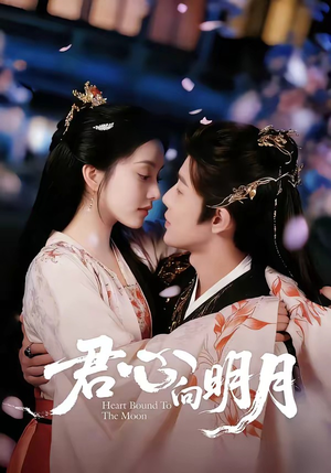 君心向明月（60集）精彩又上头的短剧来了