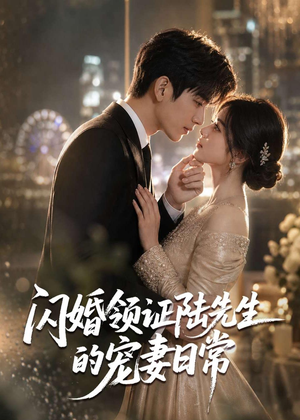闪婚领证陆先生的宠妻日常（72集）精彩短剧抢先看哦