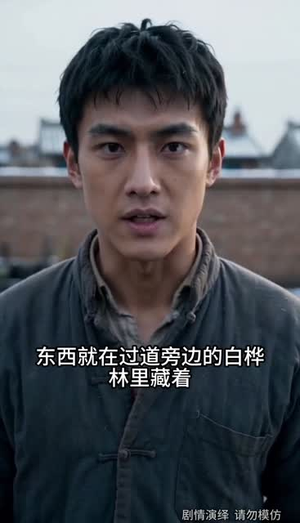 江野的故事（101集）重生之追夫火葬场短剧