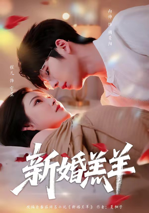 新婚羔羊（89集）超好看的短剧一起追剧