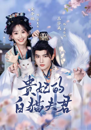 贵妃的白猫夫君（81集）不睡觉也要看完的短剧