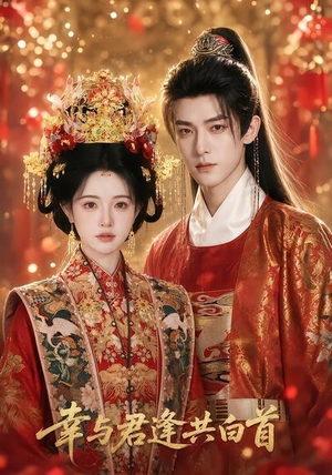 幸与君逢共白首（79集）短剧全集高清无码版