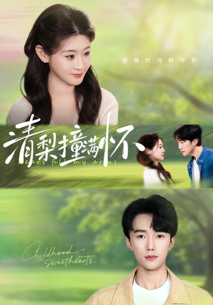 清梨撞满怀（77集）红果免费短视频剧