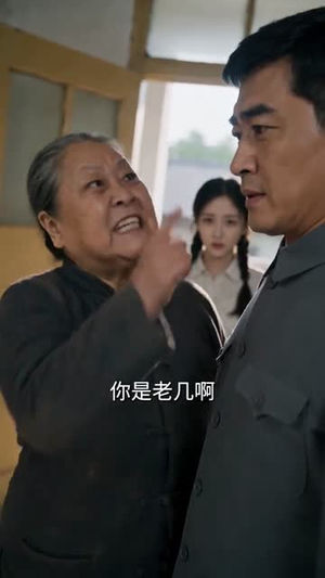 从前说：炊烟笑过桃花村（114集）免费看短剧大结局