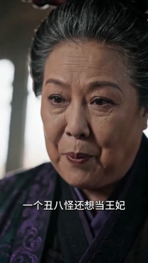 王府念归人（120集）短剧每日分享推荐