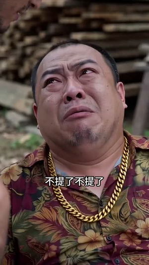 木匠铺藏潜龙（33集）每天分享好看精彩片段