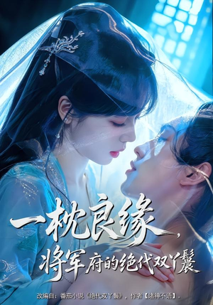 一枕良缘，将军府的绝代双丫鬟（77集）短剧排行榜前十名