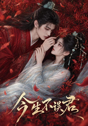 今生不误君（106集）精彩短剧持续更新