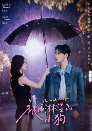 被雨淋湿的小狗（80集）每日短剧分享更新